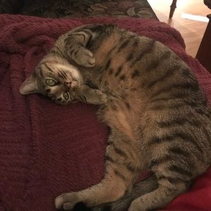 Meet your Posher, Harrison